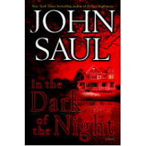 In the Dark of the Night: A Novel