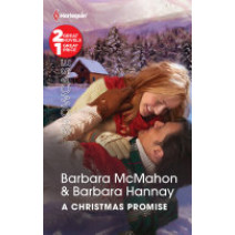 A Christmas Promise: Snowbound ReunionChristmas Gift: A Family